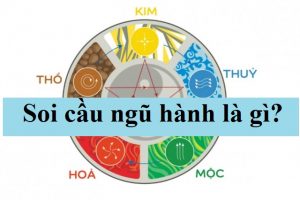 Soi-cau-ngu-hanh-la-gi