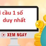 soi-cau-1-so-duy-nhat-chot-so-nhanh-ty-le-chinh-xac-cao