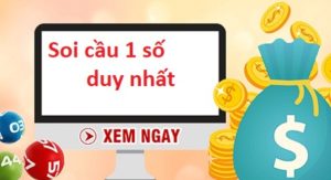 soi-cau-1-so-duy-nhat-chot-so-nhanh-ty-le-chinh-xac-cao