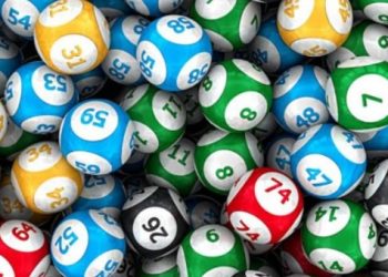 lo-kep-nuoi-khung-2-ngay-dan-lo-de-khong-nen-bo-lo