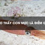 mo-thay-muc-min