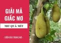 mo-thay-qua-mit