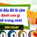 Khi đầu câm đít câm đánh con gì thắng lớn tiền về