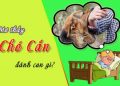 mơ thấy bị chó cắn