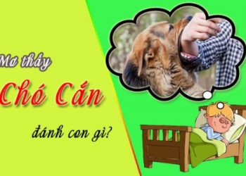 mơ thấy bị chó cắn
