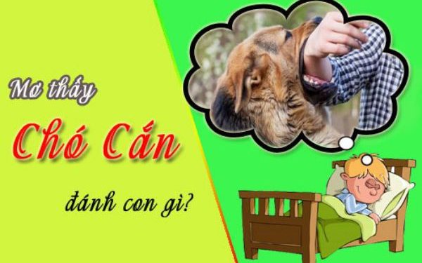 mơ thấy bị chó cắn
