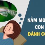 Mơ thấy cá đánh con gì