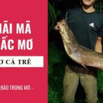 mơ thấy cá trê đánh con gì