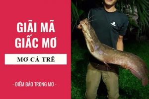 mơ thấy cá trê đánh con gì