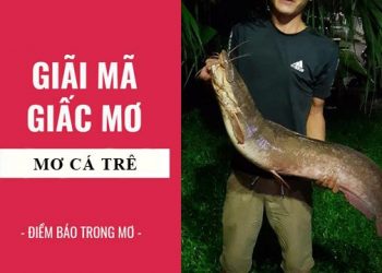 mơ thấy cá trê đánh con gì