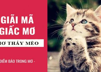 Nằm mơ thấy mèo đánh con gì – Giãi mã giấc mơ thấy con mèo