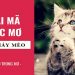 Nằm mơ thấy mèo đánh con gì – Giãi mã giấc mơ thấy con mèo
