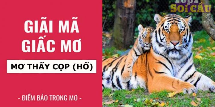 Nằm mơ thấy cọp