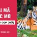 Nằm mơ thấy cọp
