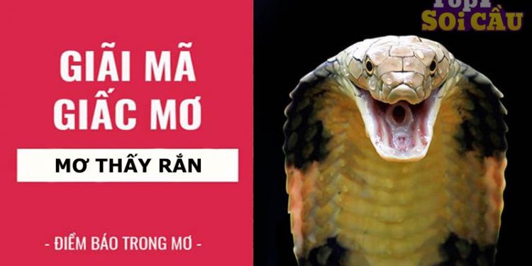 Nằm mơ thấy rắn đánh số gì