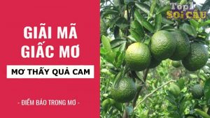 Ngủ mơ thấy quả cam