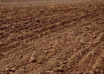 Ngủ mơ thấy đất đánh đề con gì? – Ý nghĩa giấc mơ thấy đất?