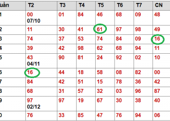 Đề kép lệch – Kép âm – Sát kép – kép bằng có bao nhiêu con?