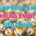 Nuôi lô khung 3 ngày là gì? Bí kíp nuôi lô chuẩn xác